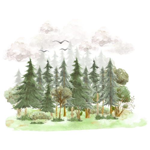 About FrostHaven.cam